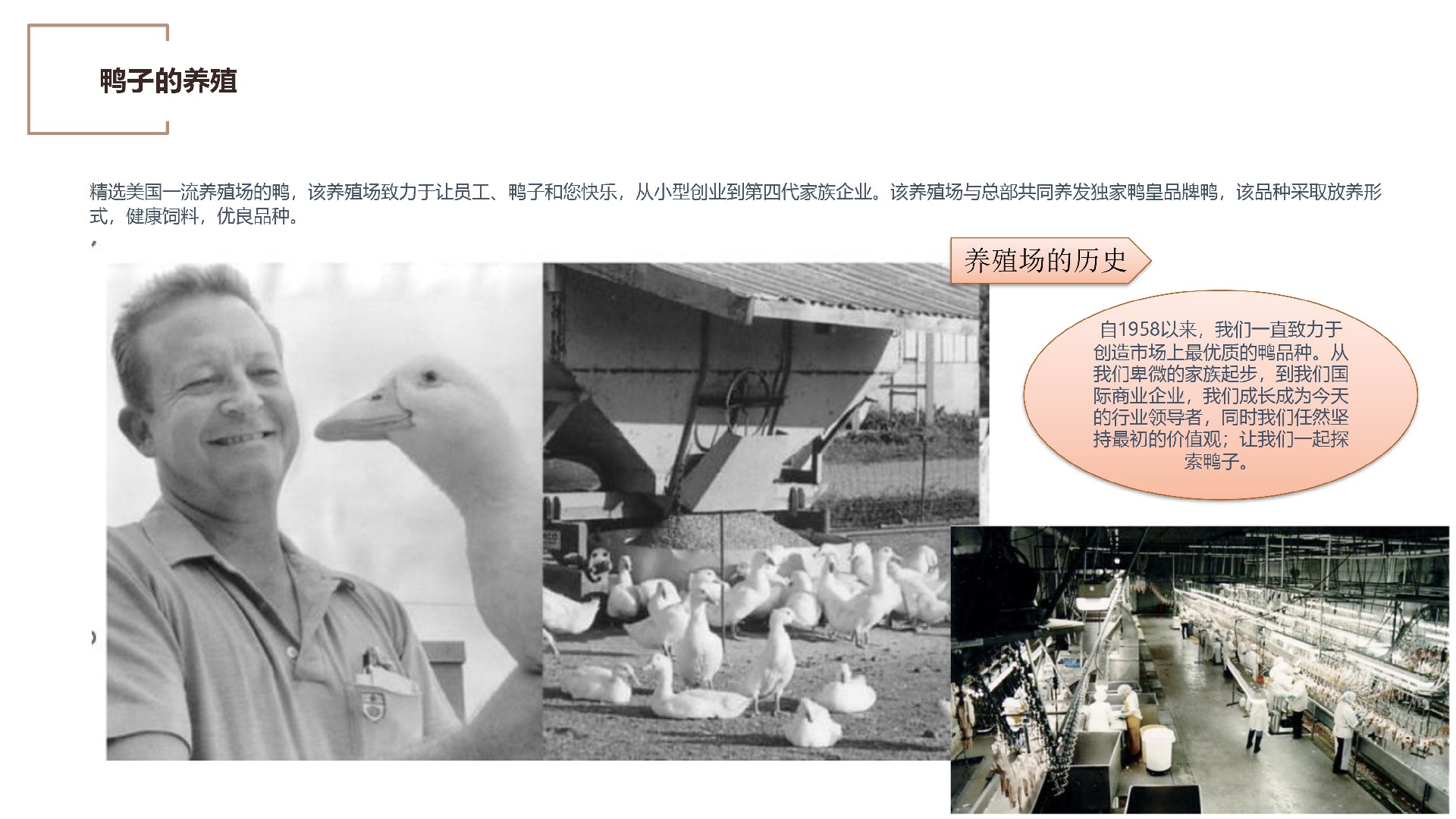 鸭皇快餐商业计划书(2025版) -39.jpg