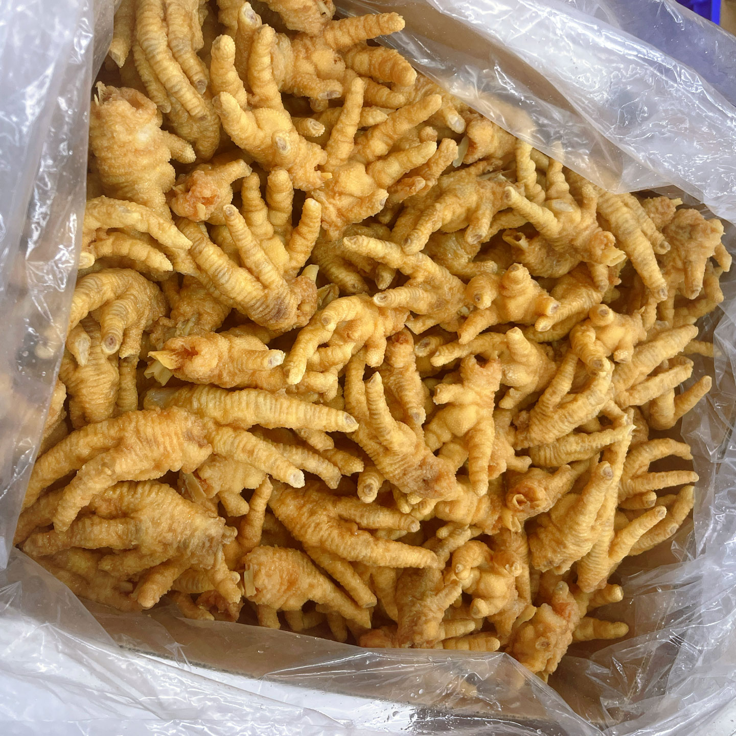凤爪1_05.jpg